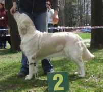 retriver.cz Agripa