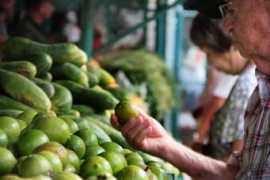 granma.cu Agropecuarias