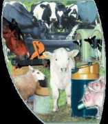 agrotech-rackwitz.de Agrotech