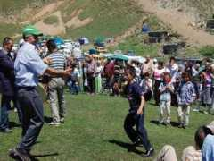 bertali.com Ahsim