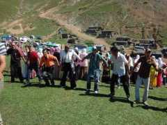 bertali.com Ahsim