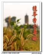 my.poco.cn Ahuang