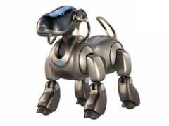 Aibo