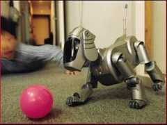 Aibo