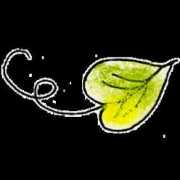 Aidul