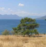 panoramio.com Aigina