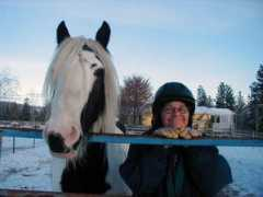 midnightsunranch.com Ailish