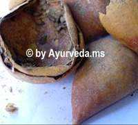 ayurveda.ms Aindri
