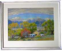walmer.co.nz Airini