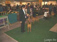 gampi-pei.com Airiny