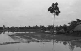 blogs.lse.ac.uk Aisbitt