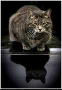 photoforum.ru Aivars