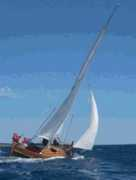 carloforteyachtclub.org Aivel