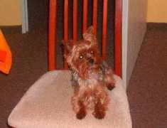 krajinazazrcadlem.estranky.cz Ajaaja