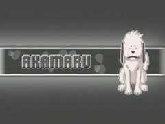 Akamaru