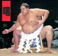 chijanofuji.com Akebono