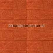 kleurmijninterieur.nl Akede