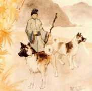 akitainu.hu Akitainu