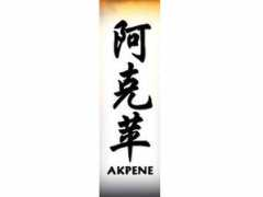 tattooinn.com Akpene