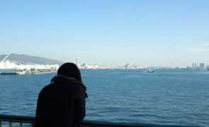 cap-kobe.com Alamer