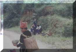 sabah.edu.my Alansan