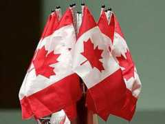 entornointeligente.com Alarie