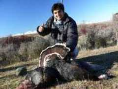 trophyhuntingnz.com Albaraa