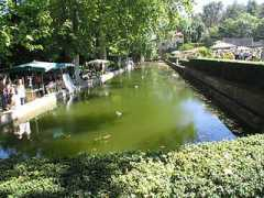 web-provence.com Albertas