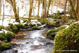 panoramio.com Albtal