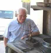 luso-bonsai.com Alcino