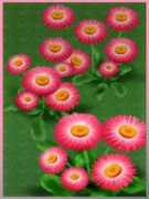 mdssurvivor.com Aldeane