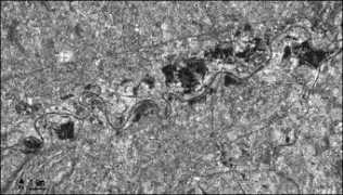 earth.esa.int Alesar