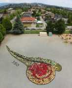 artforthesky.com Alevin