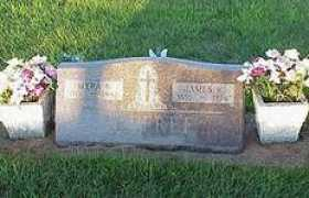 freepages.genealogy.rootsweb.ancestry.com Alfree