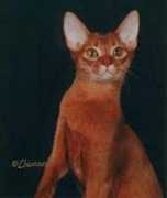 abyssinianbc.org Alfree