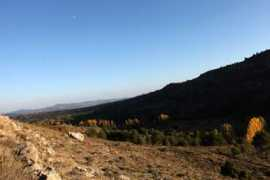 panoramio.com Algarra