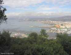 davidpride.com Algeciras