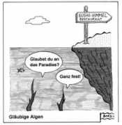 Algen