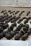 shorouknews.com Algham