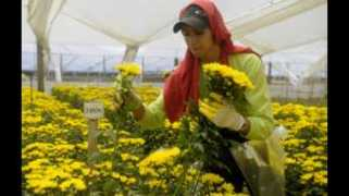 minutouno.com Alhajar