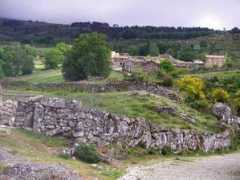 Alhal