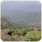 yemeni-dreams.com Alhamdani