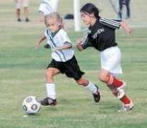 mauinews.com Alibegic