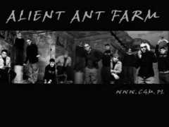 bandswallpapers.com Alient