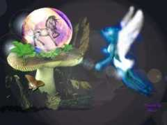 unicornjorge.com Aliera
