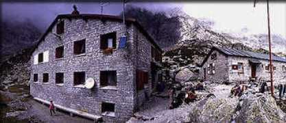 Alievi