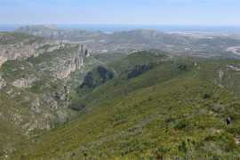 topwalks.net Aligar