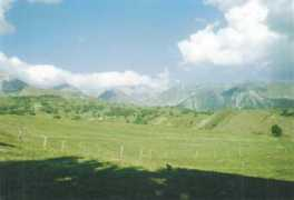 artvindernegi.com Alikemal