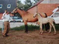 goldhopefarm.com Alimann