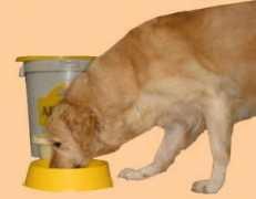 legoldenretriever.free.fr Alimen